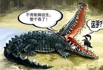 8a8afe9d7353ae0d96702e0f48a426a3.jpeg